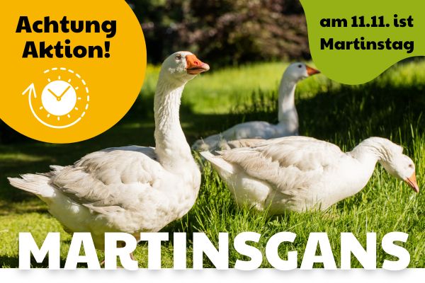 Martinsgans - Vorbestellung